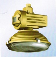 4.SBD1105-YQL120免维护节能防爆灯.JPG