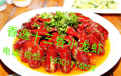 微信图片_20170512141449.jpg