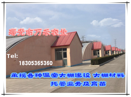 365368297544416798_副本_副本.jpg