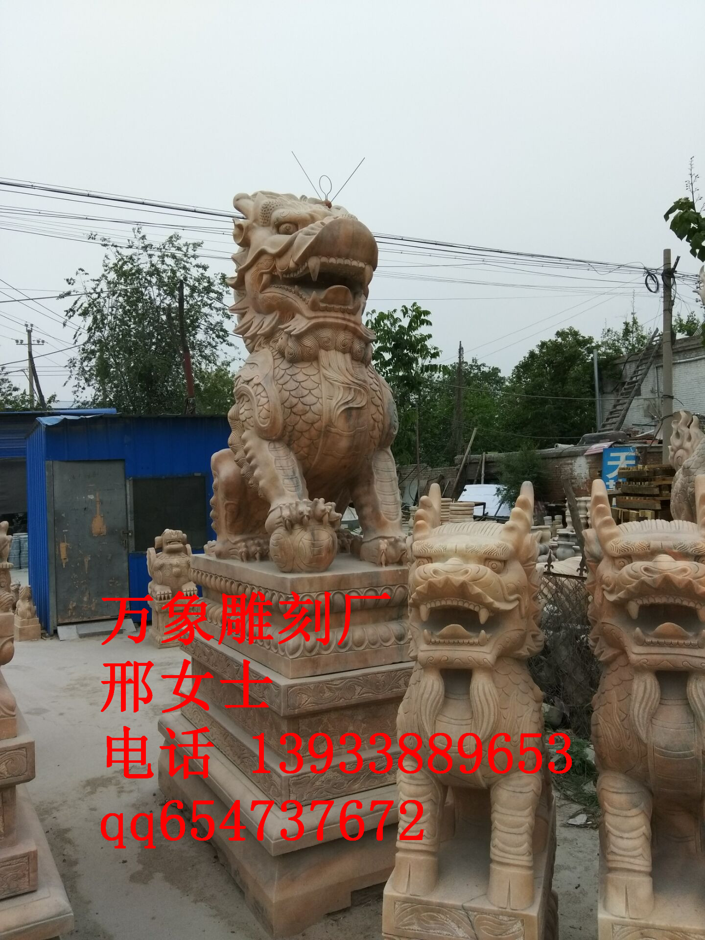 QQ图片20170508083721.jpg