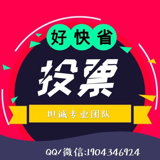微信投票第三方平台,坦诚专业投票任务平台,质