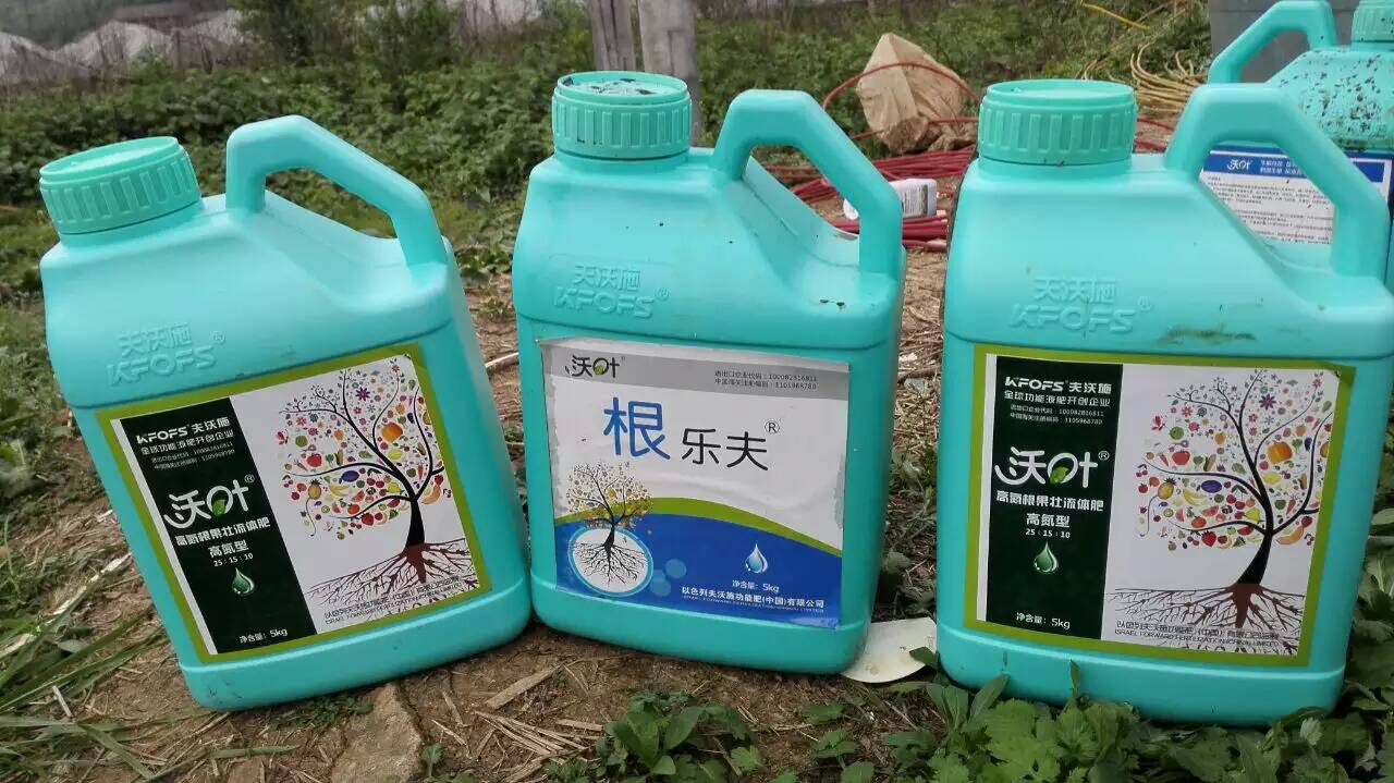 根腐病.jpg