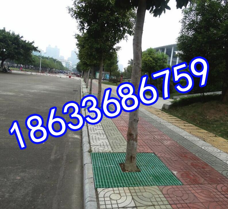 88.jpg