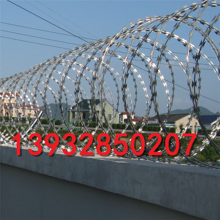 1496828987729419.jpg