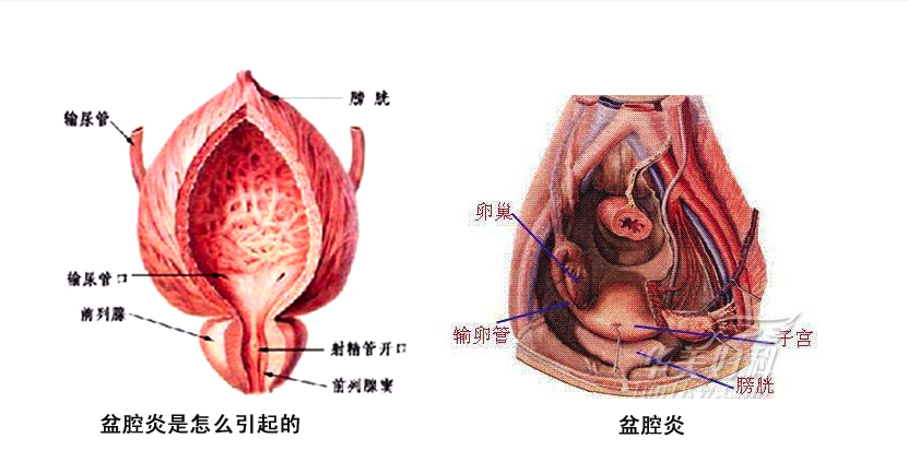 QQ图片20160815114803.png