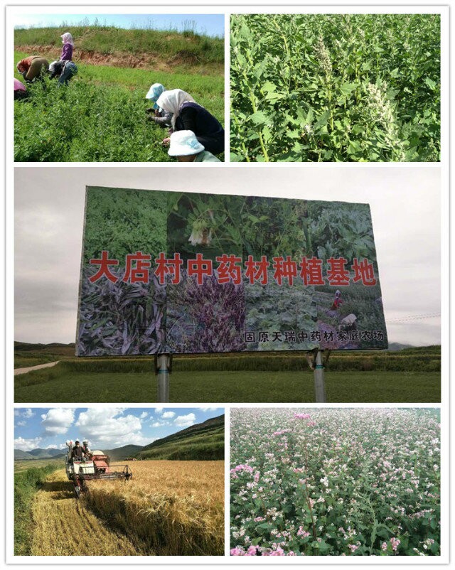 宣传照片1.jpg