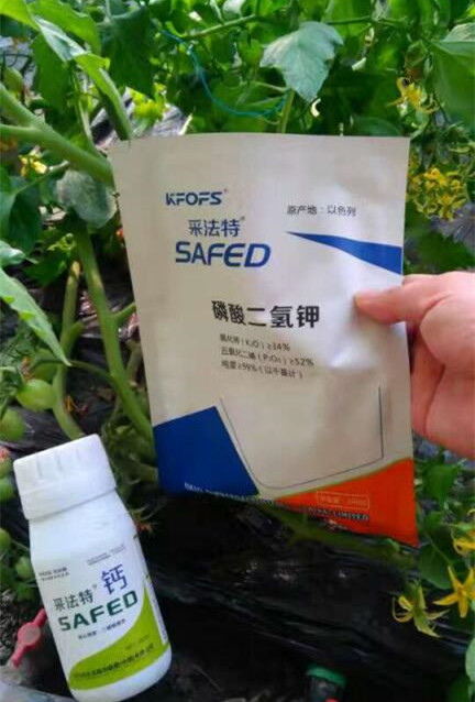 钙肥E.jpg