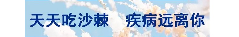 沙棘插图3.JPG