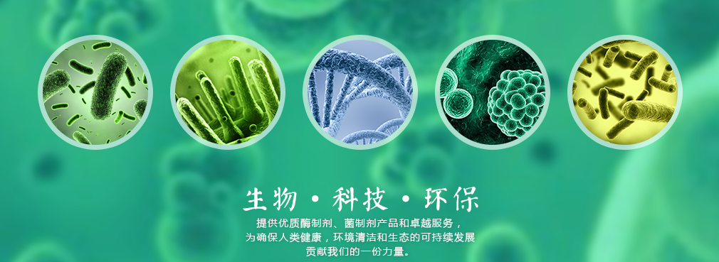 1499820243763044.png 2345截图20170710082642.png