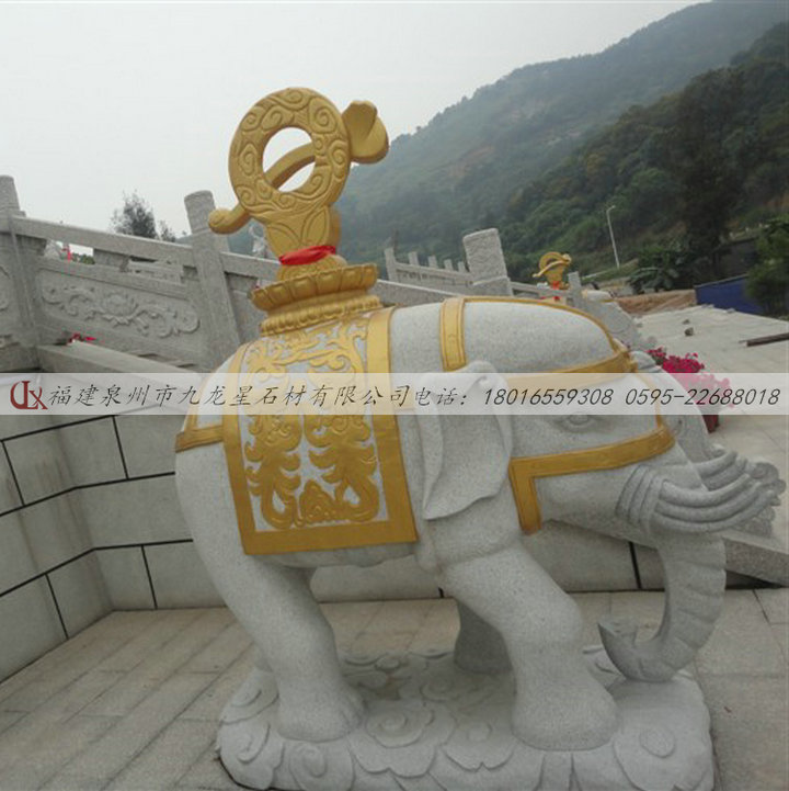 大象176.jpg