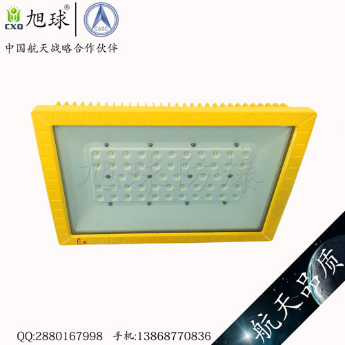 XQL8100免维护高效节能LED防爆灯 (25).jpg