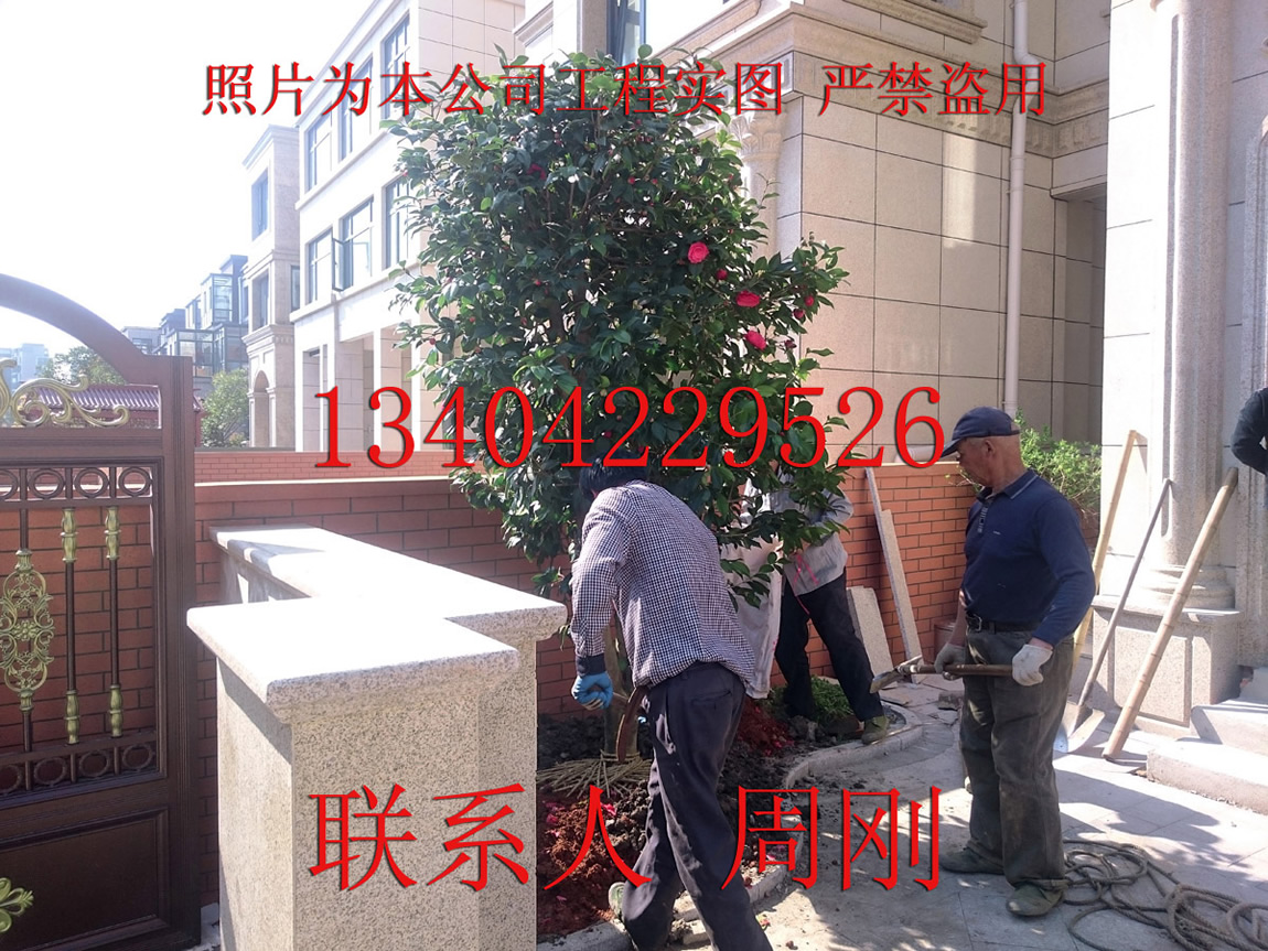 阳 (13) - 394kb.jpg