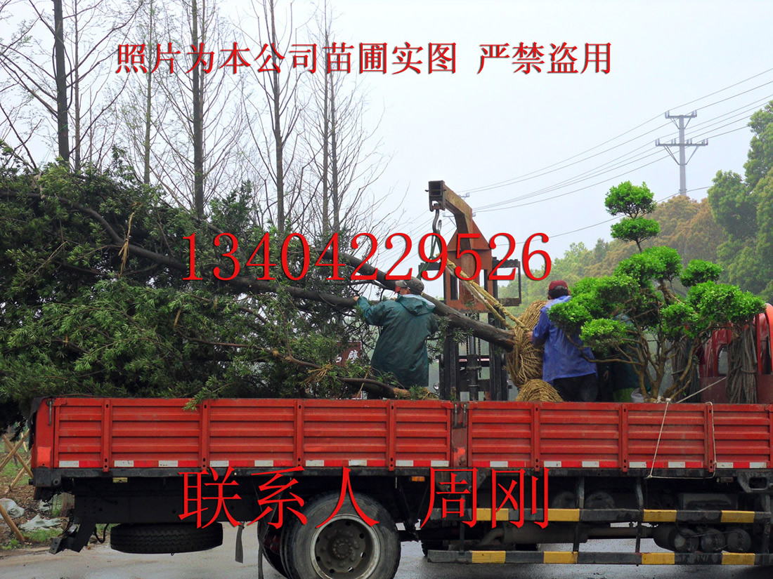 嘉 (5) - 386kb.jpg