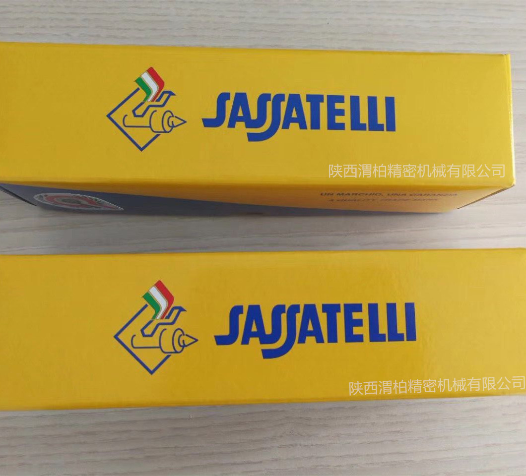 Sassatelli005.jpg