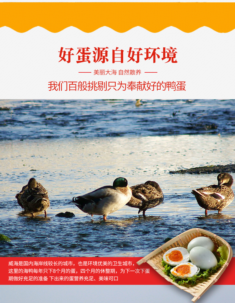 海鸭蛋详情_07.jpg