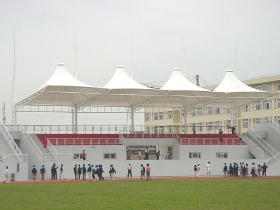 体育1.jpg