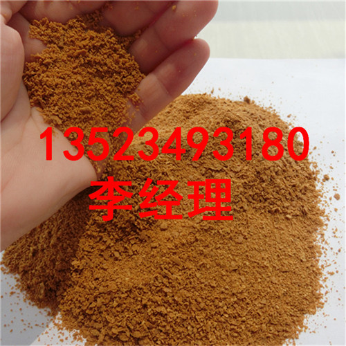 CIMG1374_副本.jpg