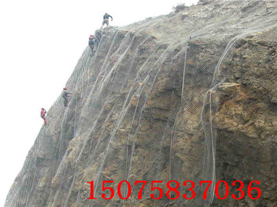 2010111517253043106.jpg