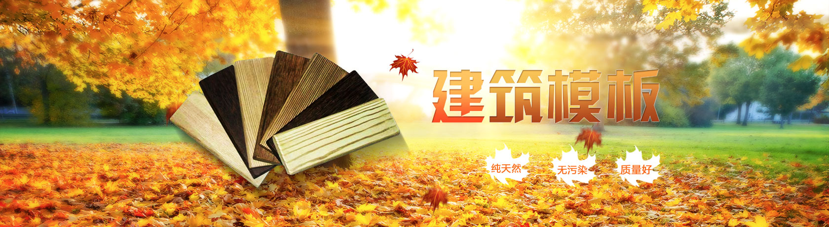 banner 图.jpg