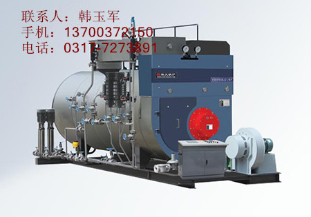 冷凝式蒸汽锅炉_副本.jpg
