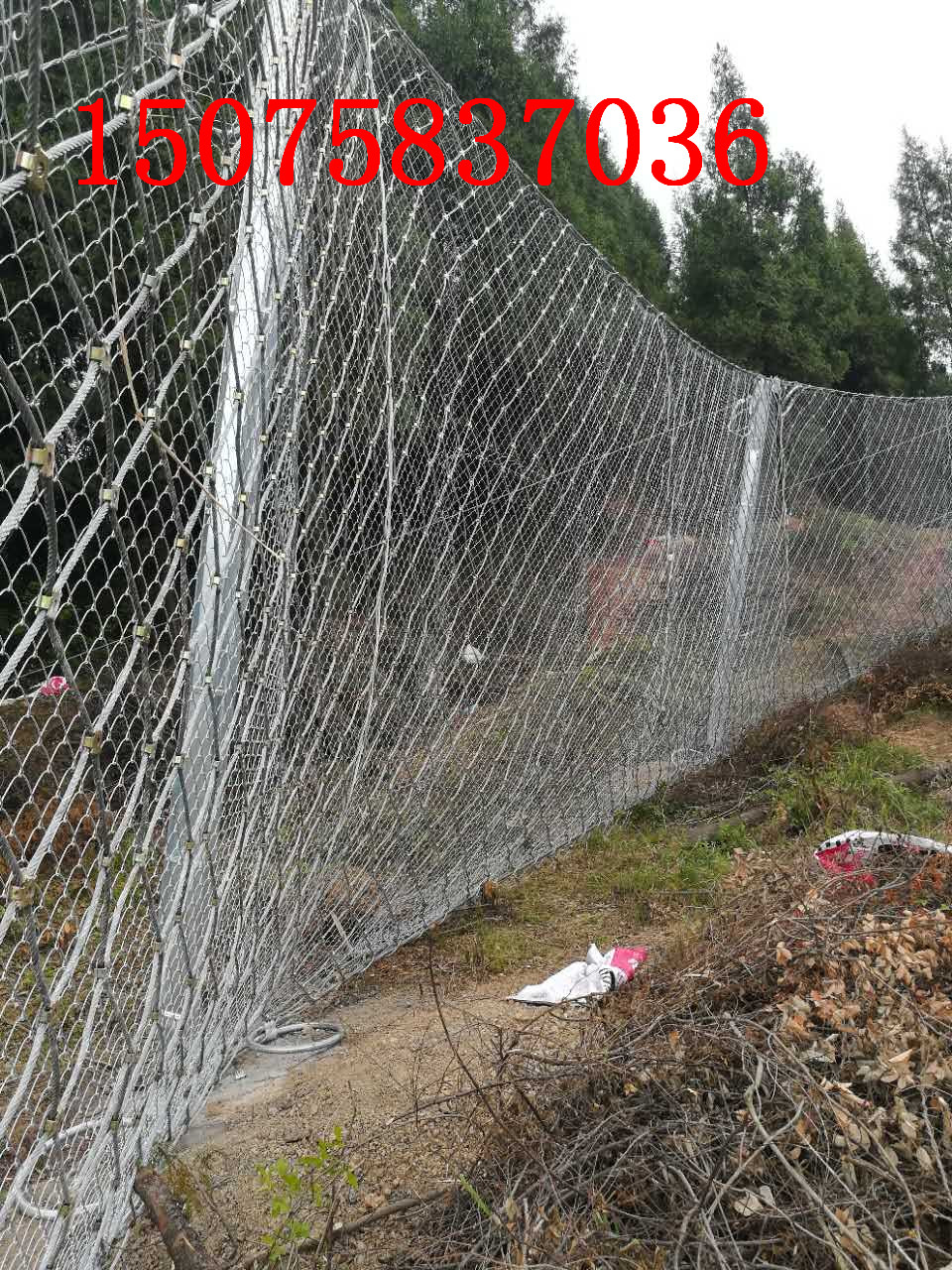 1504849888750673.jpg 微信图片_20170823135258_副本1.jpg