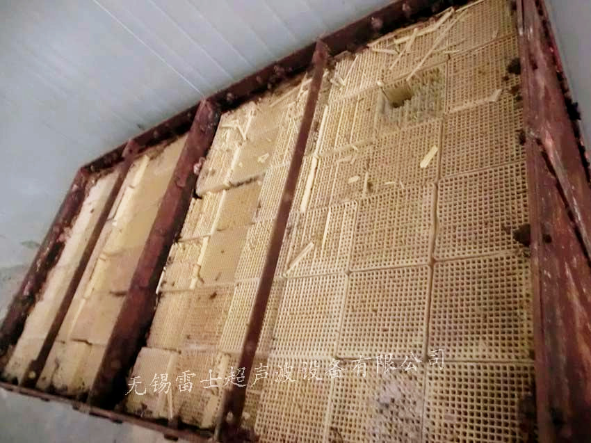 CIMG7524 拷贝_副本.jpg