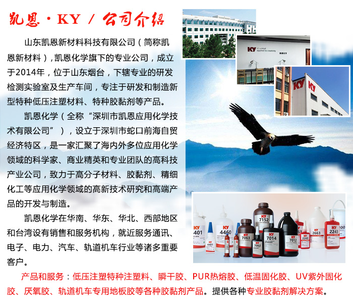 公司介绍.jpg