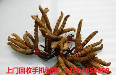 t014b16d41644faa52b - 副本.jpg