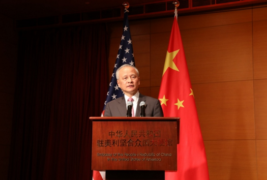 崔天凯大使发表讲话.png 崔天凯大使发表讲话.png