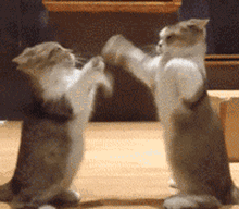 006pzHQ3gy1fjukwazq1pg306405cu0x.gif