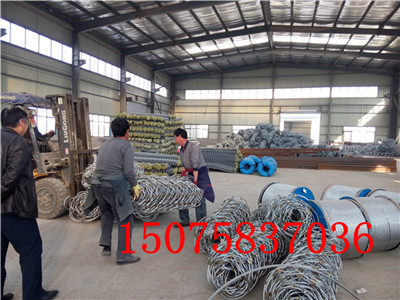 IMG20150313155641.jpg