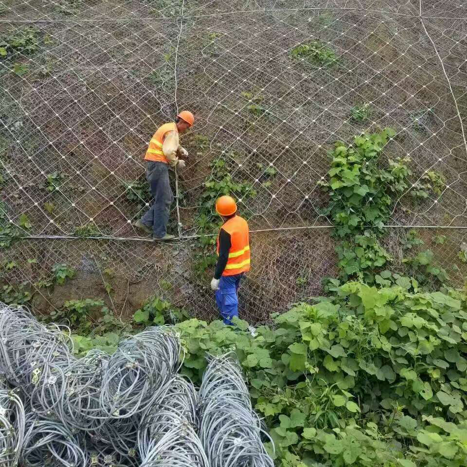 主动防护网
