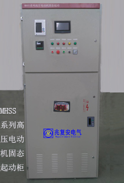 MHSS-245x361.jpg