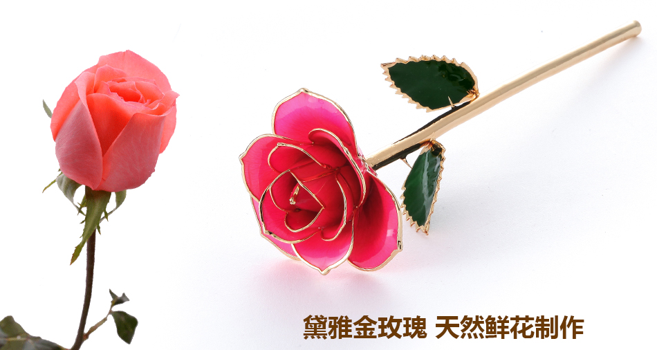 粉色.jpg