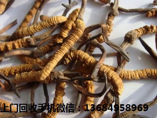 t01d0f4176683347dfb - 副本.jpg