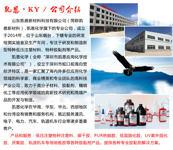 公司介绍.jpg