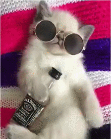 t012a617c6affcff9d3.gif