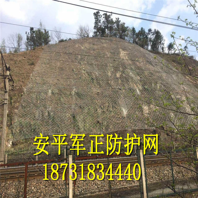 落石安全网厂家18731834440VX.jpg