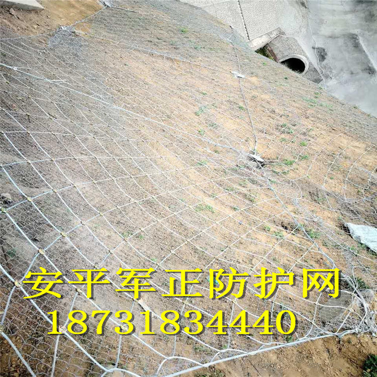 主动防护网厂家，被动防护网厂家18731834440 (2).jpg