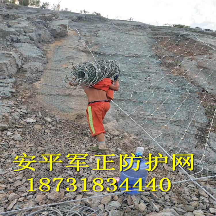 SNS主动防护网厂家18731834440.jpg