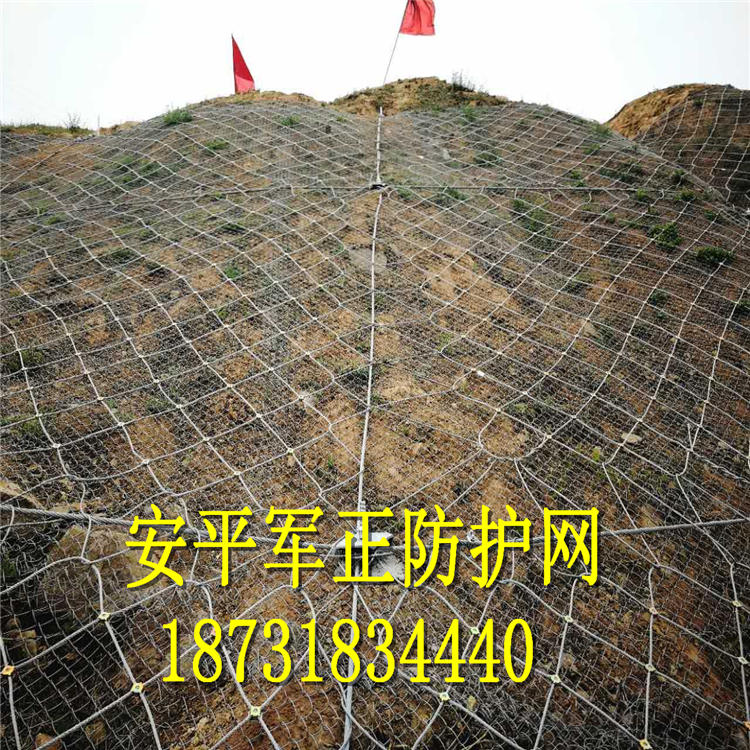落石防护网厂家18731834440VX.jpg