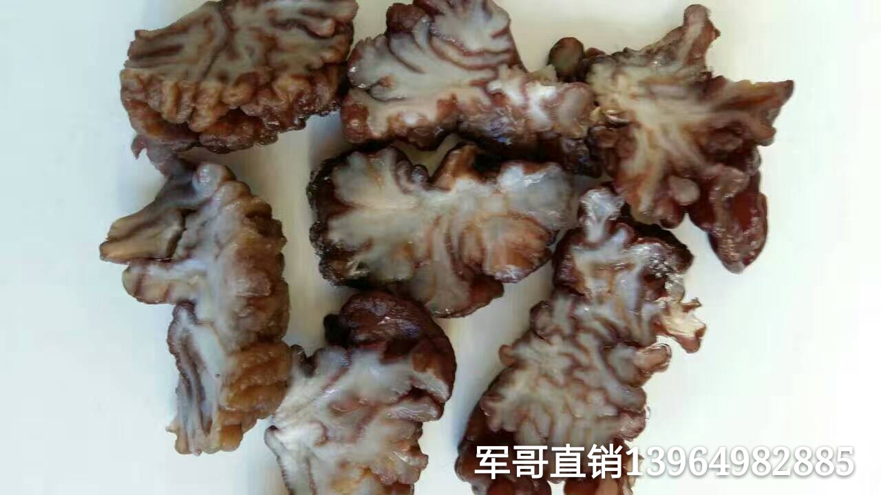 核桃菌核桃菌批发核桃菌销售核桃菌出售核桃菌长期有核桃菌