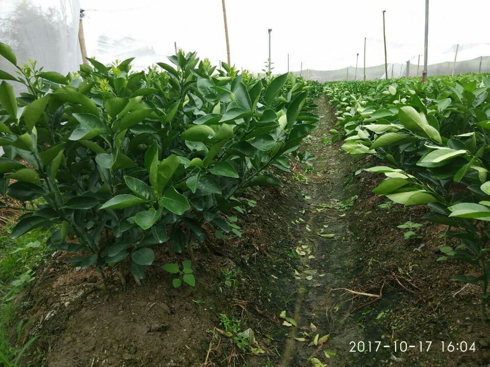 QQ图片20171018091330.jpg