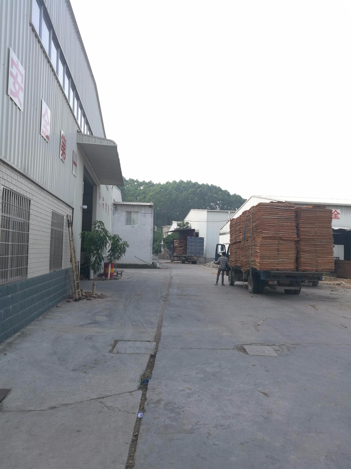 漳州胶合板|胶合板厂家请选漳州荣佳木业加工厂