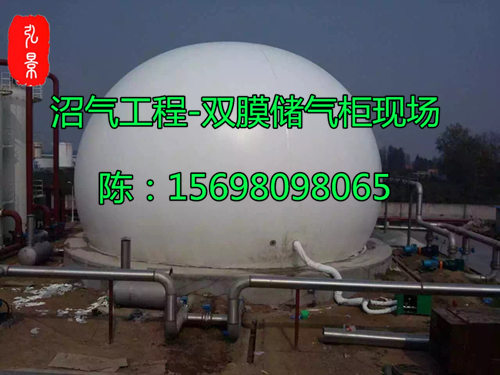 双膜气柜1.jpg