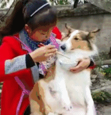 t018de7efe3cb1c1fed.gif