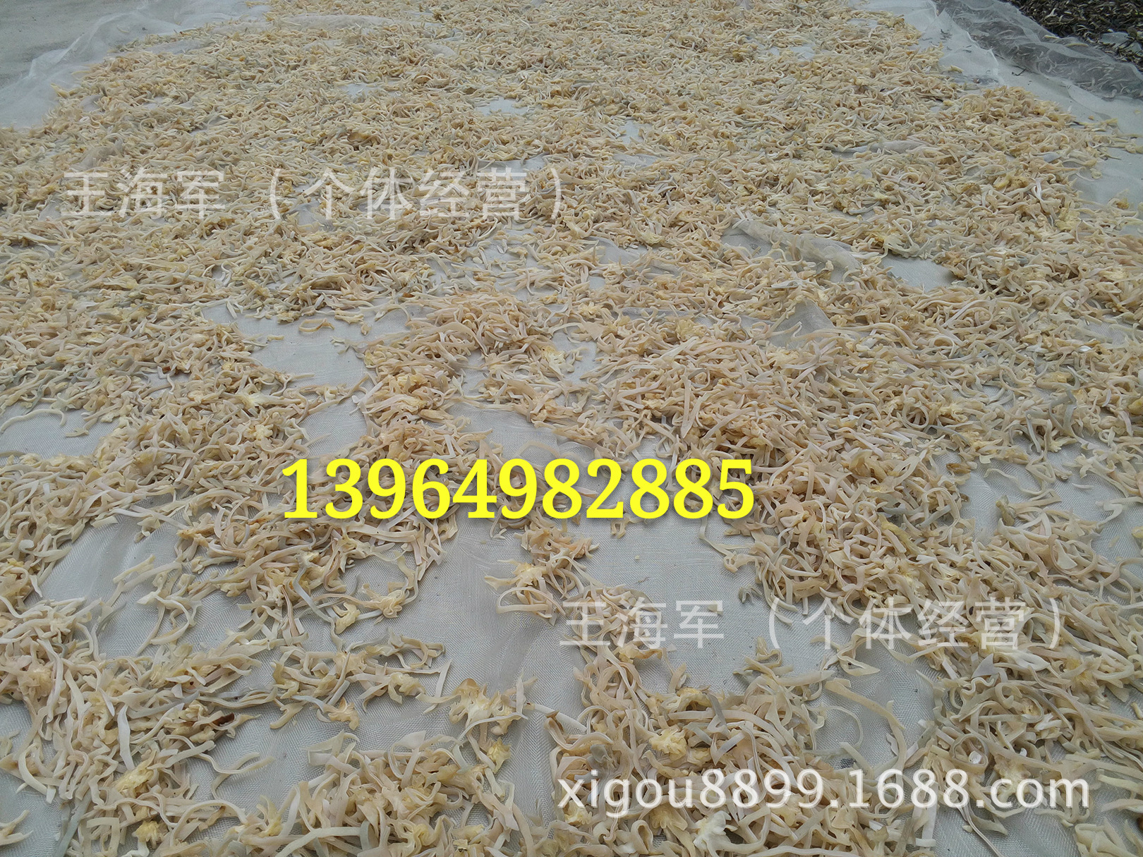 白木耳４丝.jpg