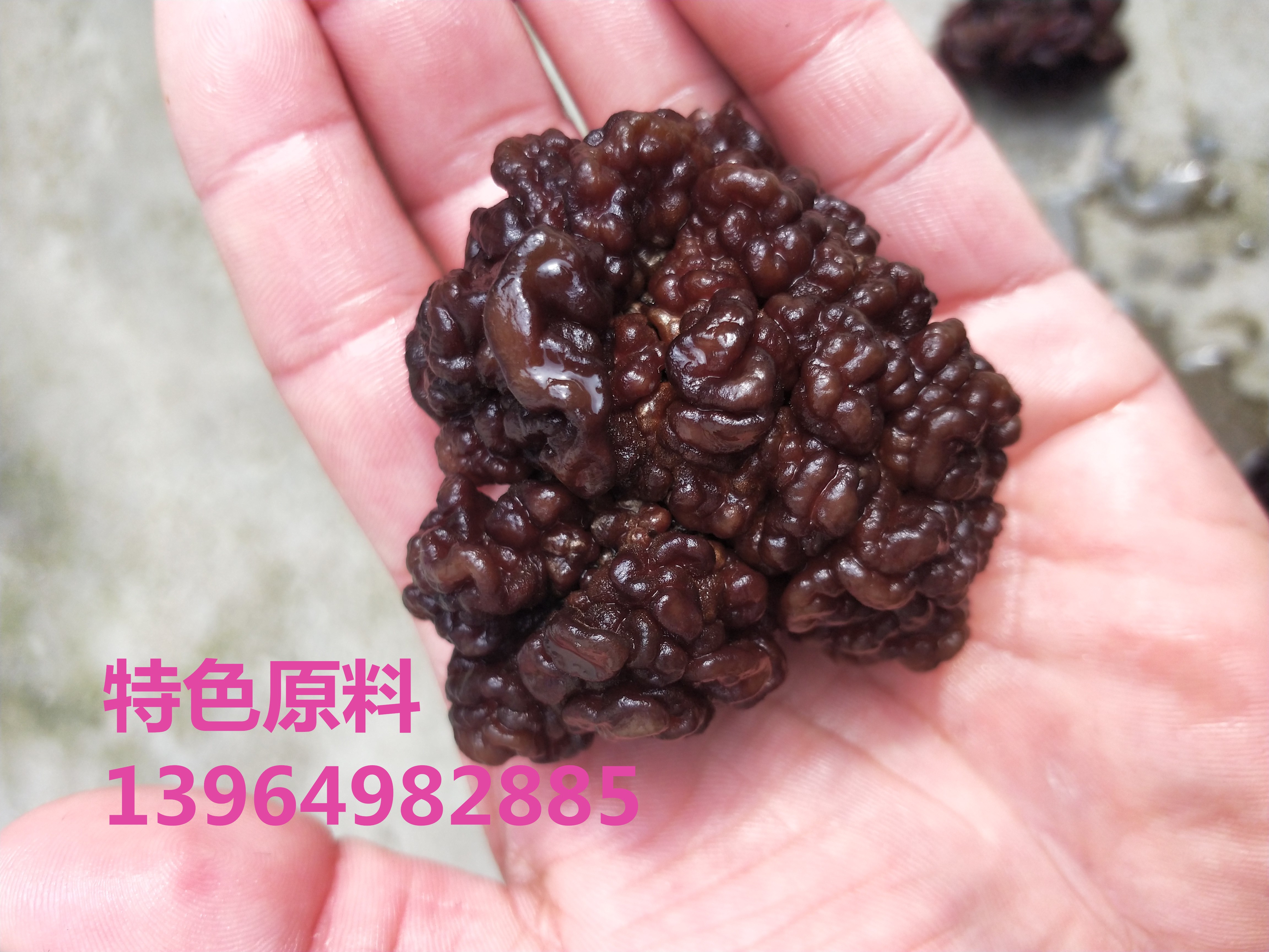 IMG20171019110154_副本.jpg
