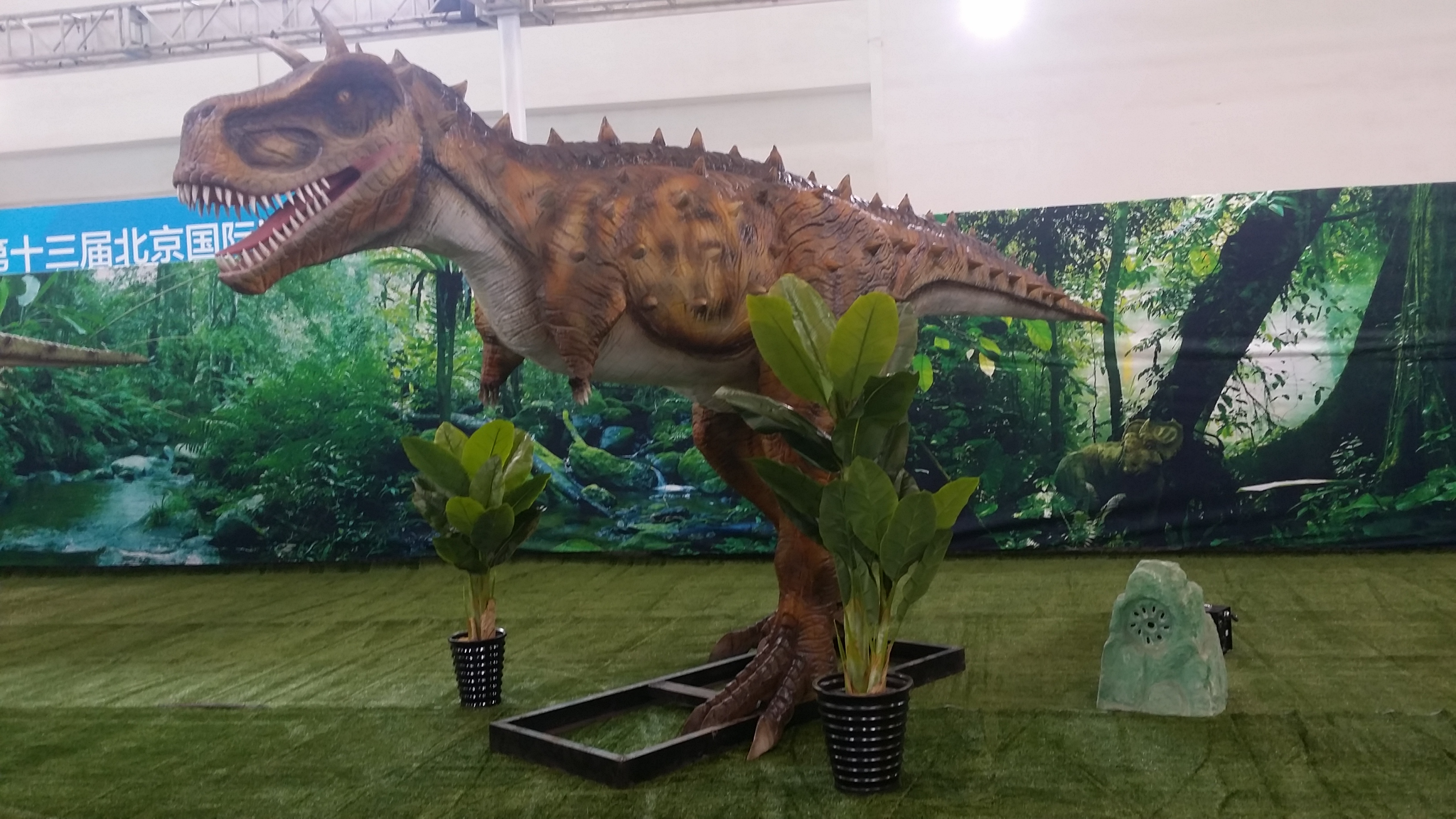 1509073470301639.jpg 20150824_155439.jpg