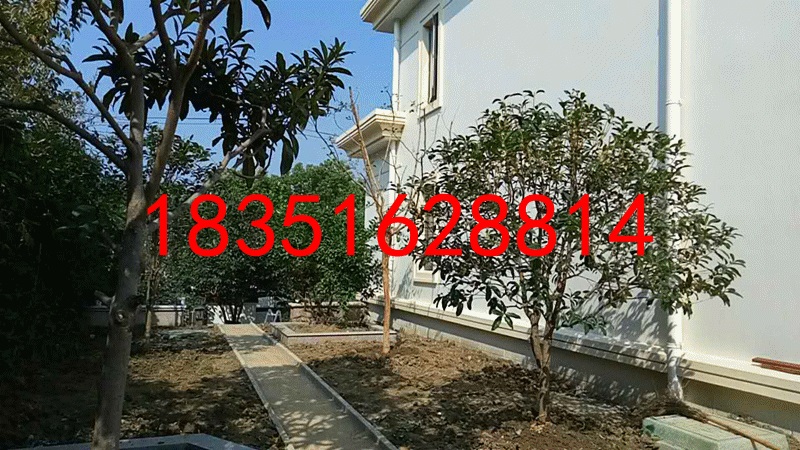 1509277728373046.jpg